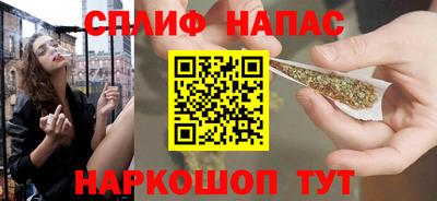 индика Пугачёв